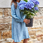 SILK SHIRT DRESS, SKY BLUE - SAAKI