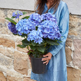 SILK SHIRT DRESS, SKY BLUE - SAAKI