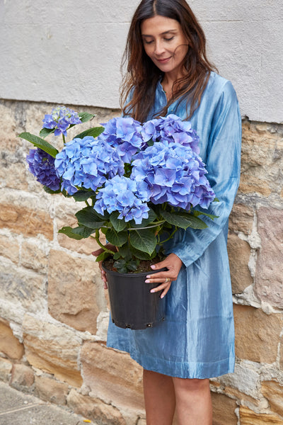 SILK SHIRT DRESS, SKY BLUE - SAAKI